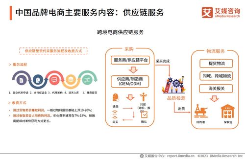 2023年中國品牌電商服務行業(yè)研究報告 信息咨詢服務深度解析