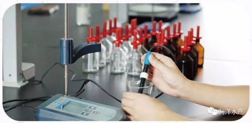 系統(tǒng)檢測 精準服務 讓水產(chǎn)養(yǎng)殖更可控的信息咨詢服務